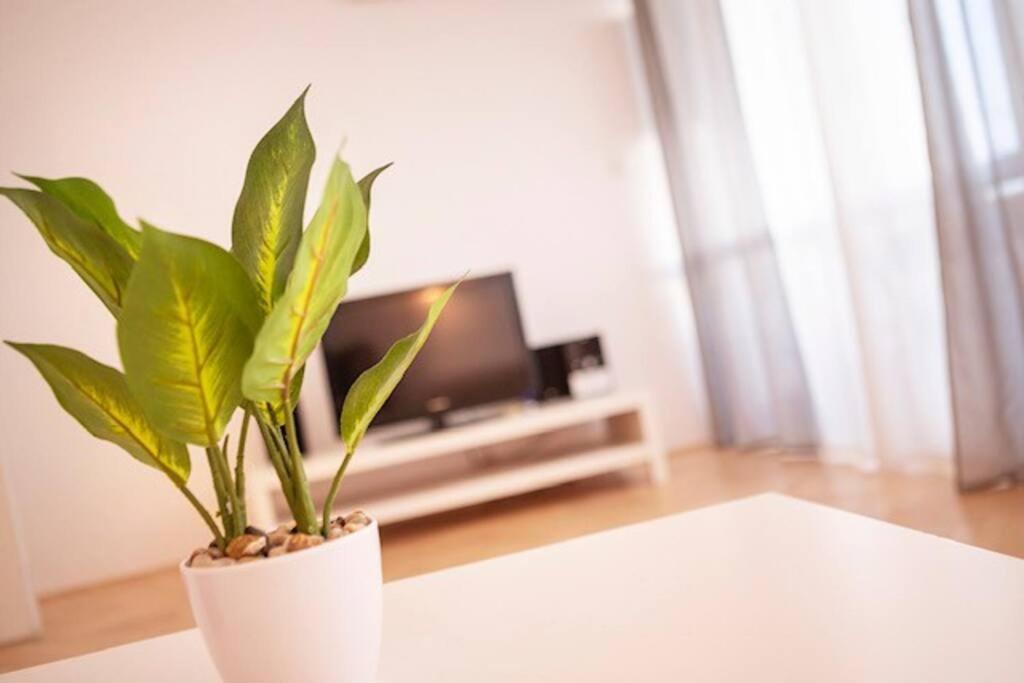 Sea City View W/ 2Bd 1Bt Free Street Parking Fiume Kültér fotó
